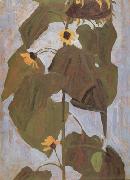 Egon Schiele Sunflower I(mk12) oil on canvas